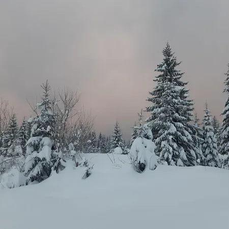 Adrian Jahorina
