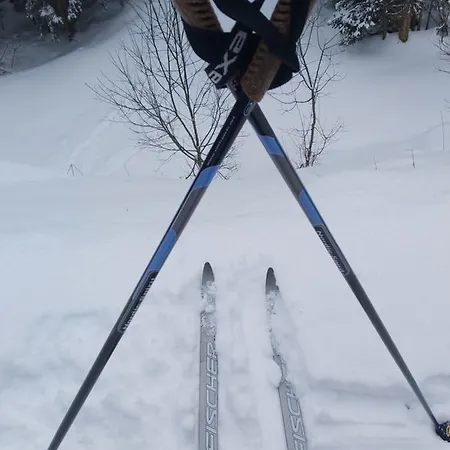 Adrian * Jahorina
