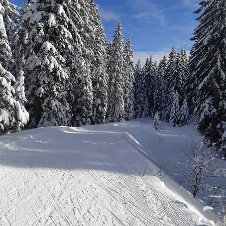 Adrian Jahorina