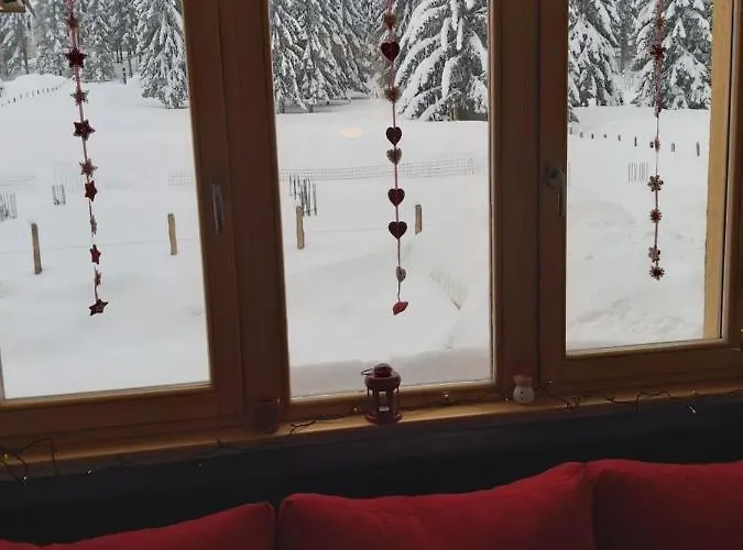 Adrian شقة ياهورينا