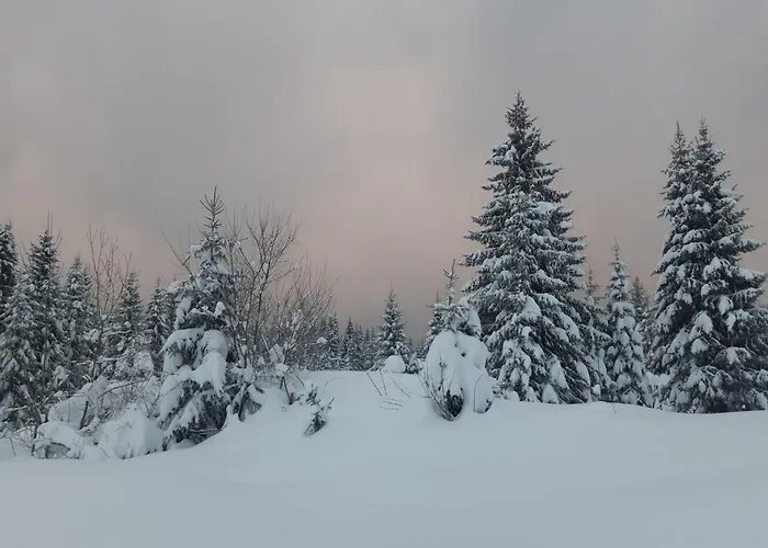 Adrian ياهورينا