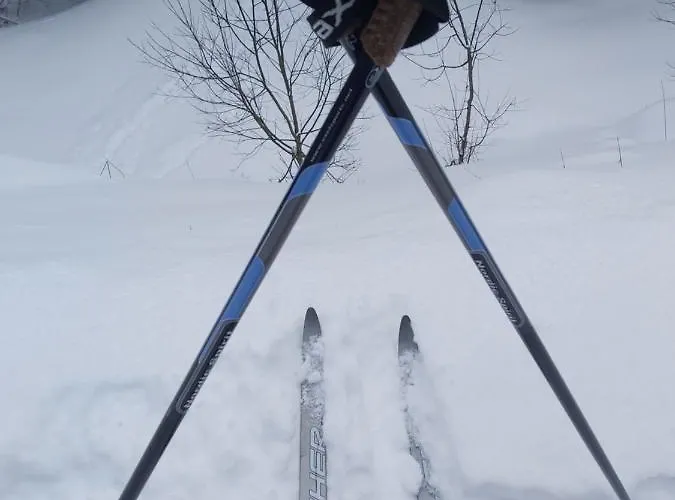 Adrian * ياهورينا