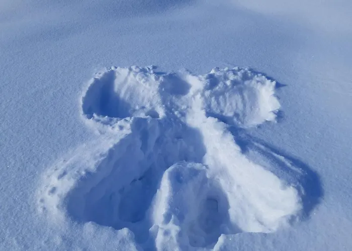 Adrian شقة ياهورينا