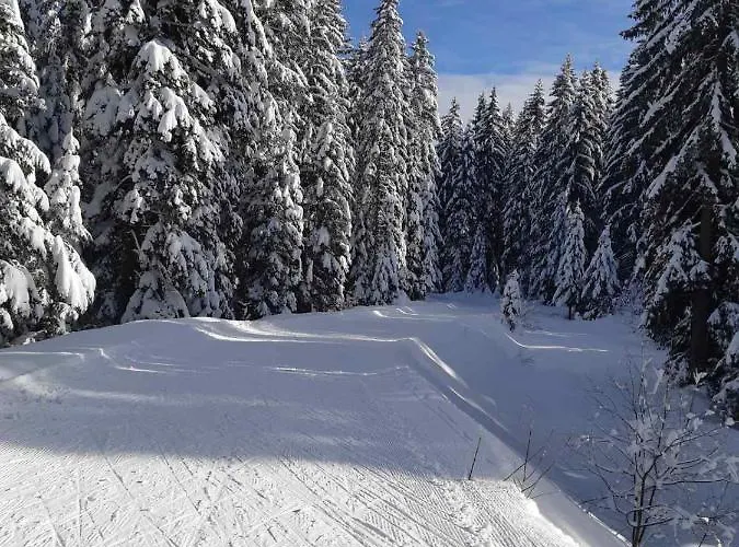 Adrian ياهورينا